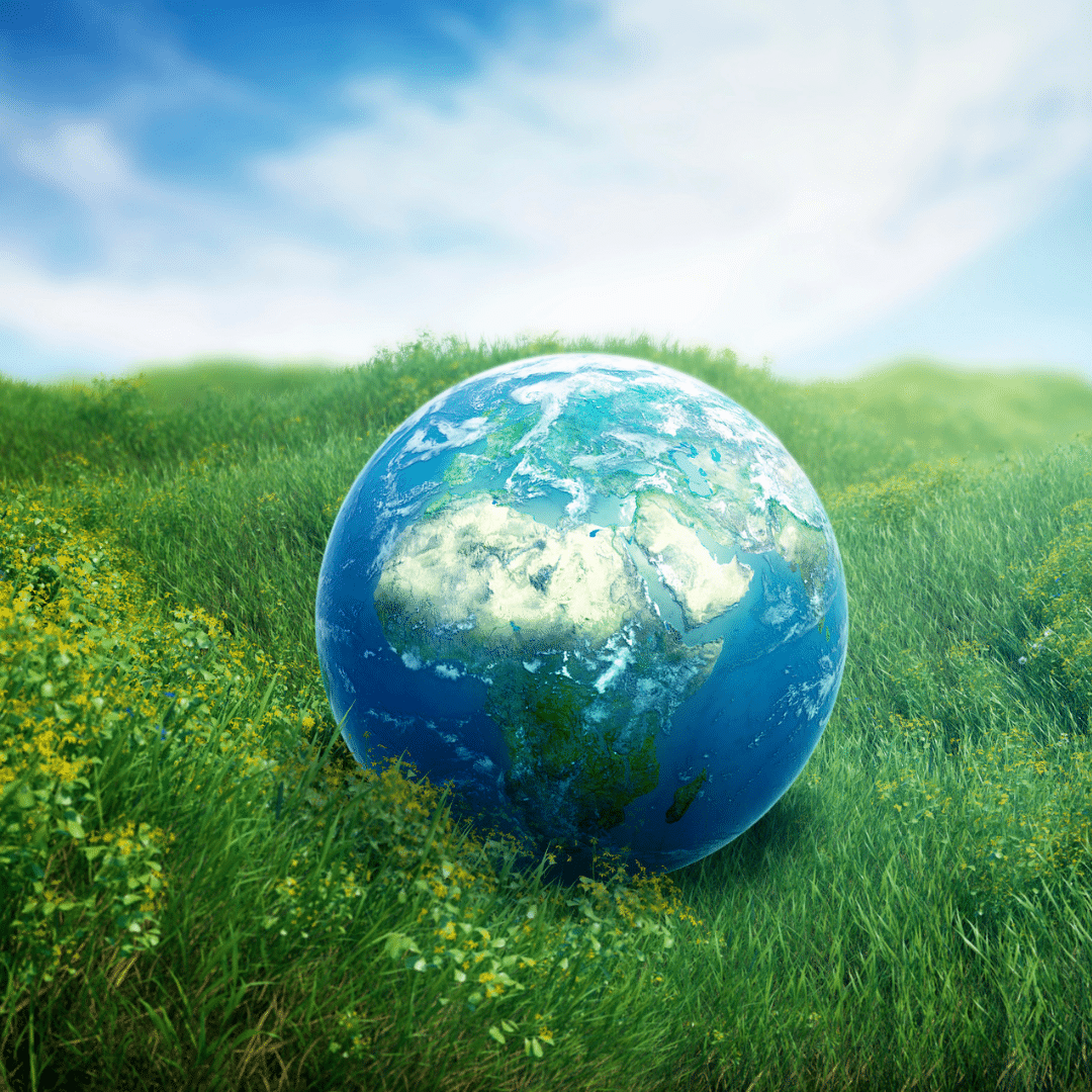 COP26 : La Grande Bretagne et la neutralité carbone en 2050